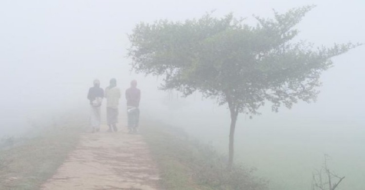 বাড়ছে শীতের তীব্রতা, আসছে মৃদু শৈত্যপ্রবাহ