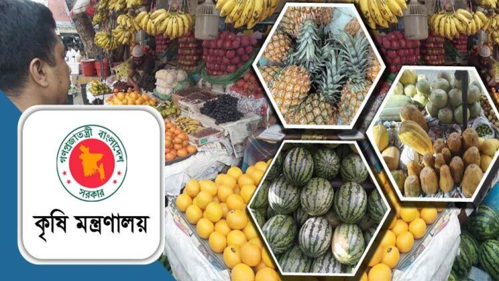 বৃহস্পতিবার শুরু হচ্ছে জাতীয় ফল মেলা