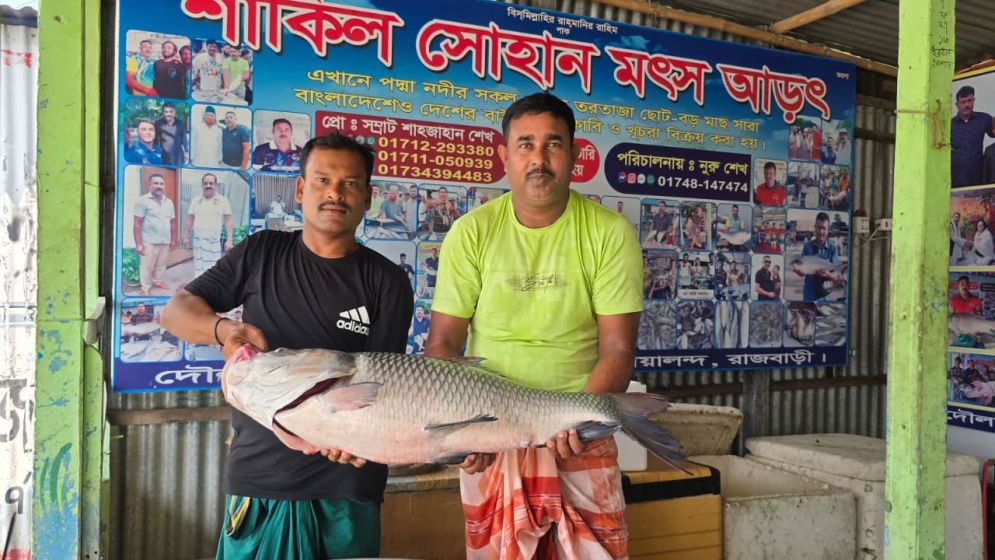 পদ্মার এক কাতল ৪৬ হাজার টাকায় বিক্রি