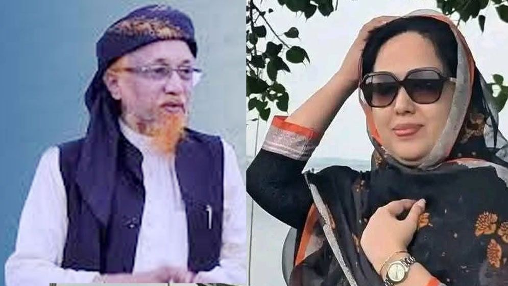 রুমিন ফারহানার আসনে ধানের শীষের প্রার্থী হচ্ছেন জুনায়েদ আল হাবীব!