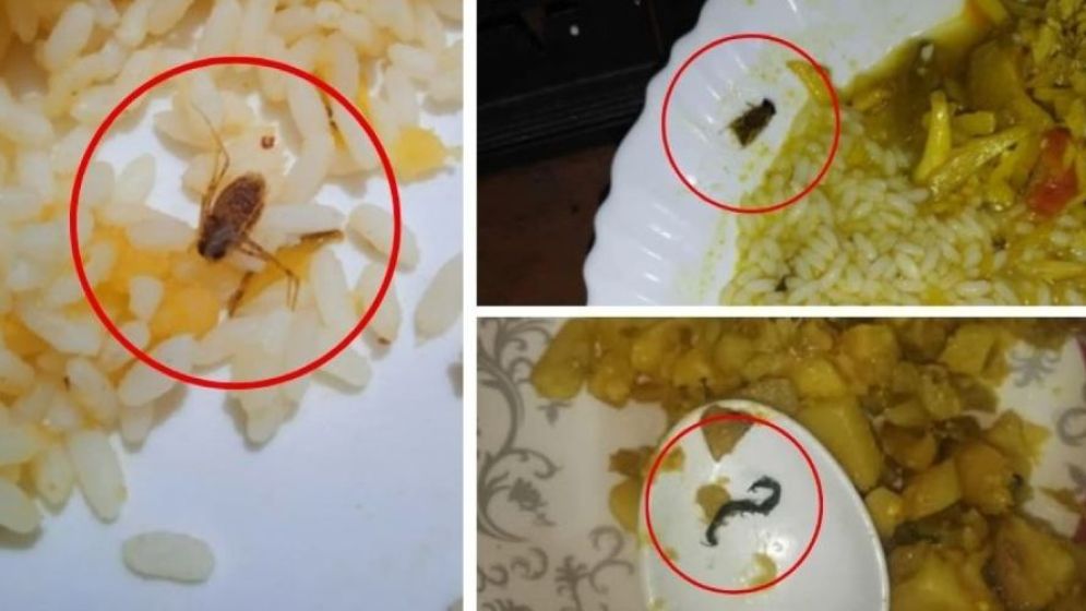 তিতুমীর কলেজের ছাত্রীনিবাসের খাবারে মিলল হরেক রকমের পোকা