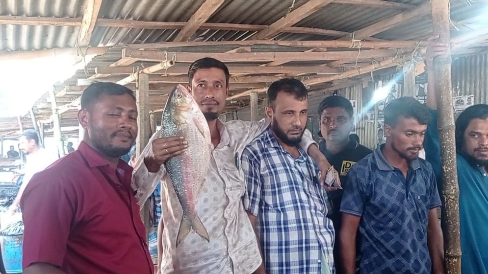 আড়াই কেজির এক ইলিশের দাম ৯২০০ টাকা!