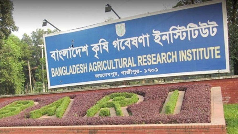 পরীক্ষা না দিয়েই সরকারি চাকরি পেয়েছেন ৪২ জন