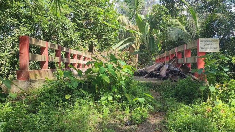 শিক্ষা মন্ত্রণালয়ের সাবেক সচিবের ড্রাইভারের ৩১ লাখ টাকার সেতু!