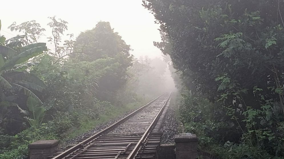 কুয়াশা দিচ্ছে শীতের বার্তা, রাজশাহীতে সর্বনিম্ন তাপমাত্রা ২২.২