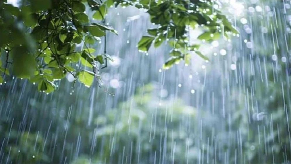 সন্ধ্যার মধ্যে যেসব জেলায় ঝড়বৃষ্টির আভাস