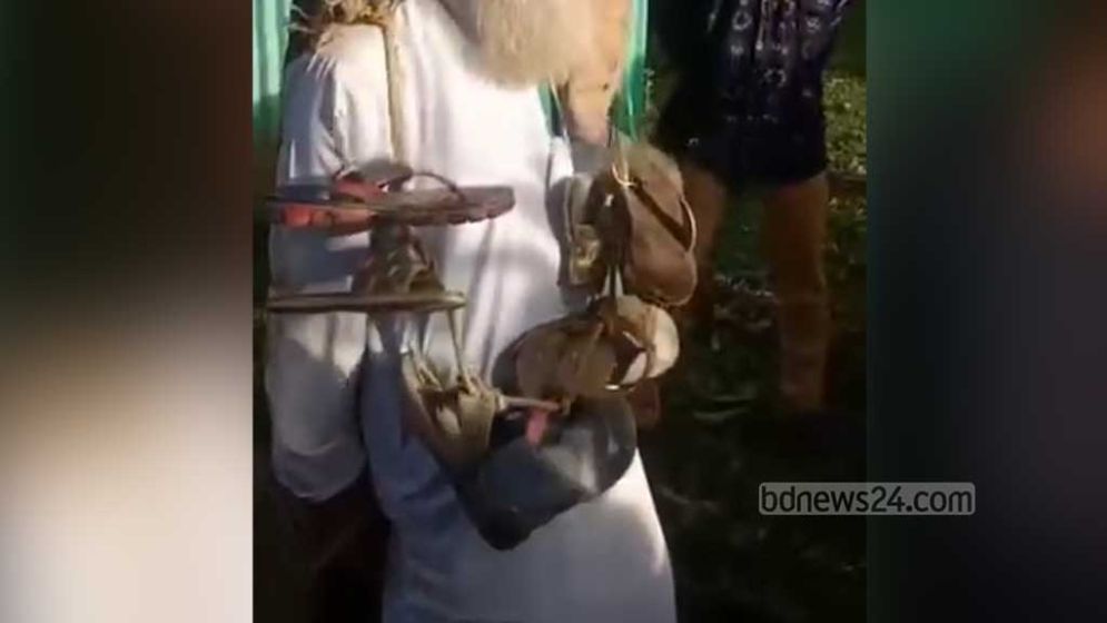 মুক্তিযোদ্ধাকে গাছে বেঁধে জুতার মালা পরিয়ে পুলিশে সোপর্দ