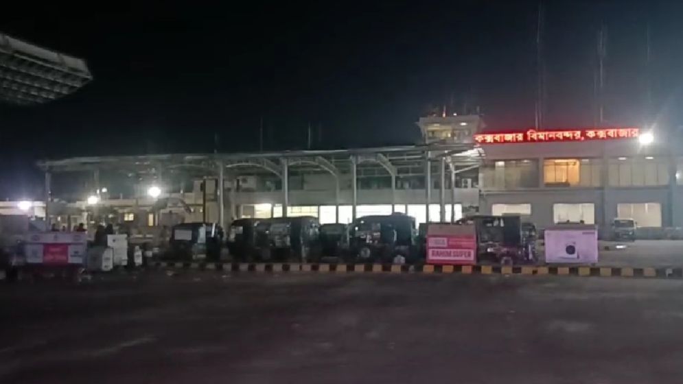 রানওয়েতে বিমানের ধাক্কায় কুকুরের মৃত্যু, দেরিতে ছাড়ল ফ্লাইট