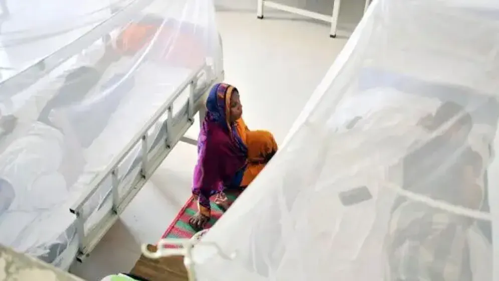 ডেঙ্গুতে আরও ৬ জনের মৃত্যু, হাসপাতালে ভর্তি ১১৯৫