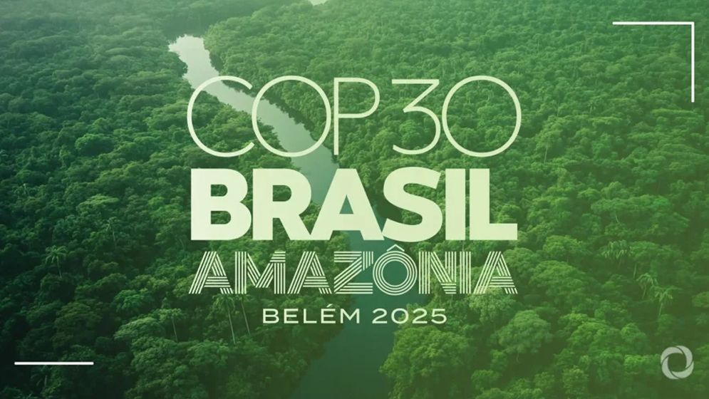 অ্যামাজনে ১ লাখ গাছ কেটে ‘জলবায়ু বাঁচাও’ যাত্রা শুরু