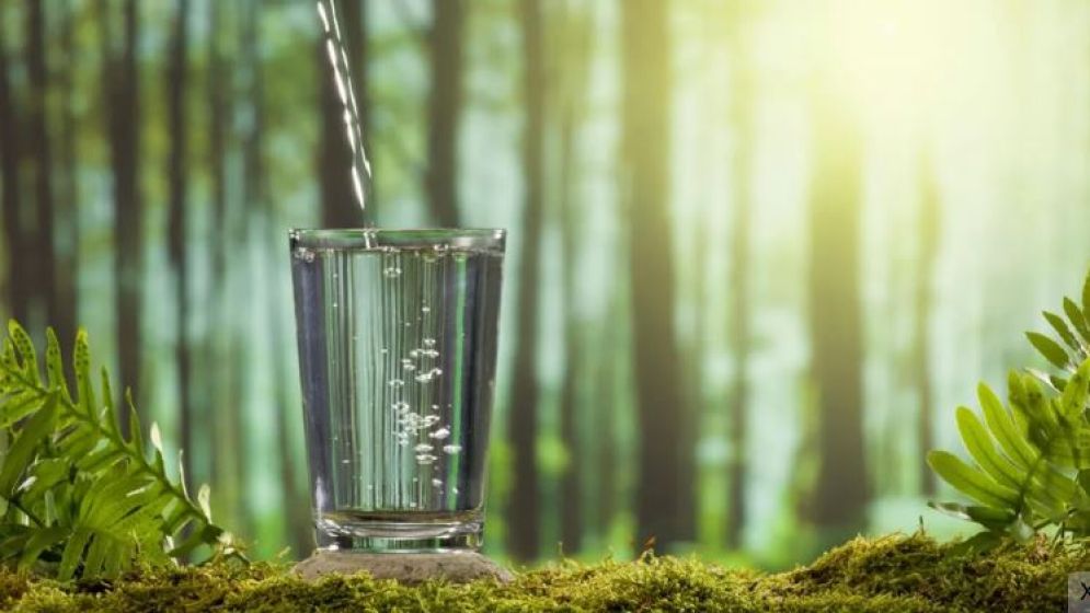 অ্যালকালাইন ওয়াটার আসলে কতটা উপকারী