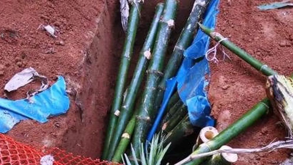 মাকে কেন মাটি দিলে, মধ্যরাতে মরদেহ তুলে ঘরে নিয়ে গেল ছেলে