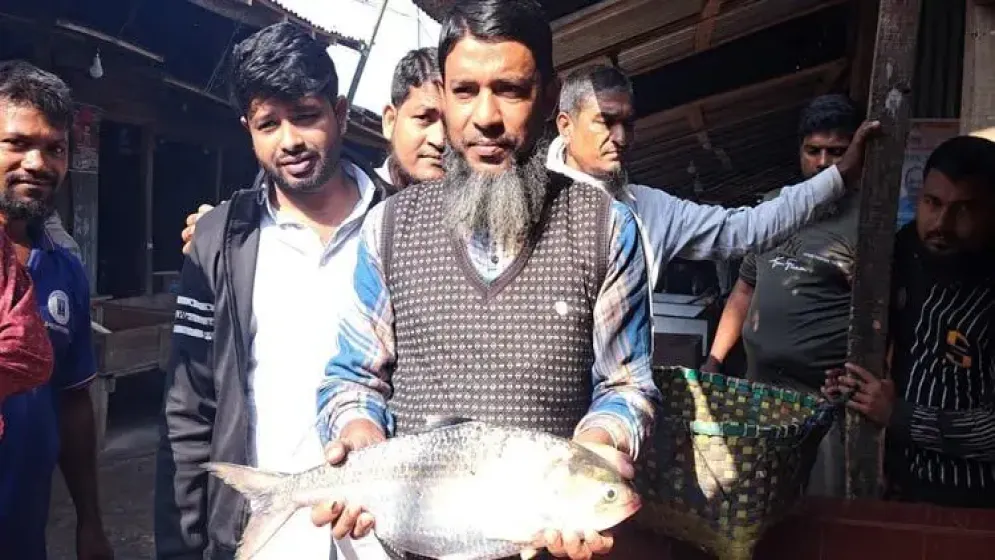 এক ইলিশ বিক্রি হলো ৮২০০ টাকায়