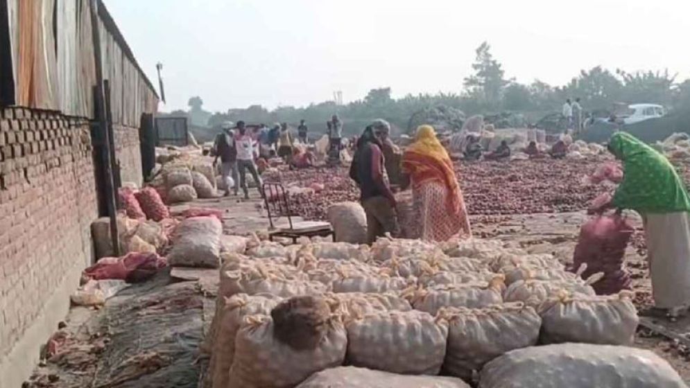 বাংলাদেশে রপ্তানি বন্ধ, সীমান্তে পচছে ৩০ হাজার টন ভারতীয় পেঁয়াজ