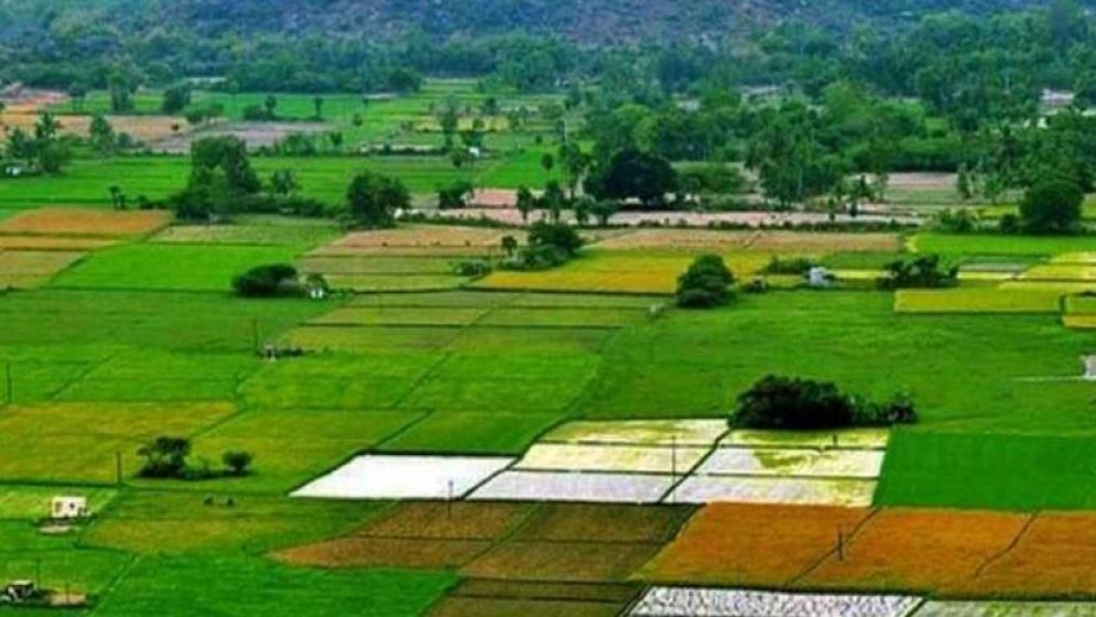 মাত্র ২ মিনিটেই যেভাবে জানবেন জমির আসল মালিক কে