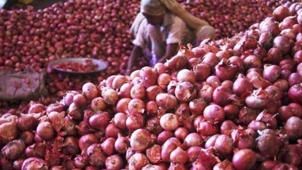 পেঁয়াজ নিয়ে ভারতের ‘কান্না’, দেশের কৃষকের ‘হাসি’