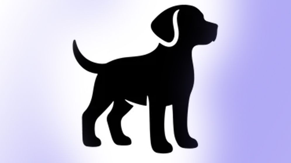 কুকুর বা প্রাণী হত্যায় ইসলাম কী বলে?