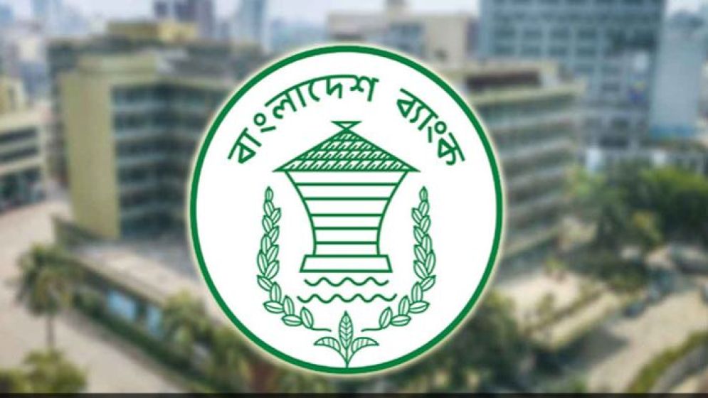 হঠাৎ বাংলাদেশ ব্যাংকের সার্ভার অচল, ভোগান্তি ইন্টারনেট ব্যাংকিংয়ে