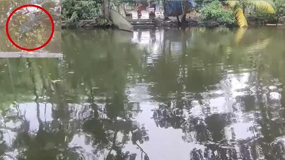 অলৌকিক গজার মাছ ঘিরে ‘সান্টু ফকির’-এর ব্যবসা