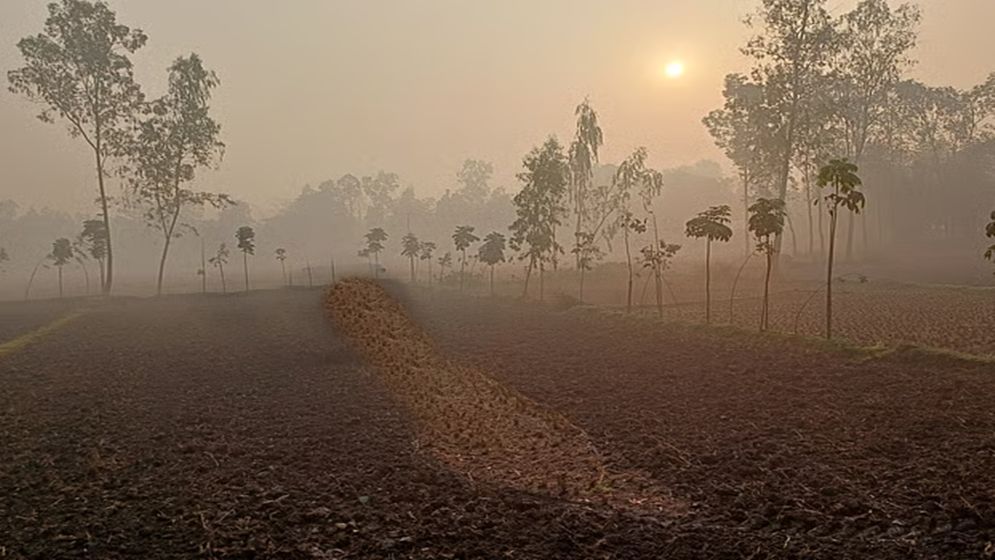 দেশের সর্বনিম্ন তাপমাত্রা তেঁতুলিয়ায়, আরও শৈত্যপ্রবাহের আভাস