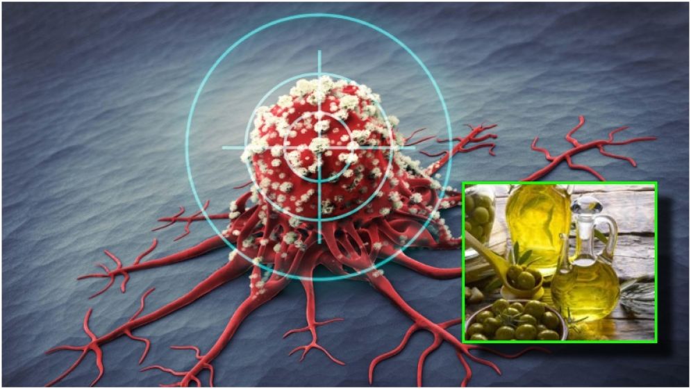 এবার মাত্র ৩০ মিনিটে ক্যান্সার কোষ ধ্বংস করবে অলিভ অয়েল!