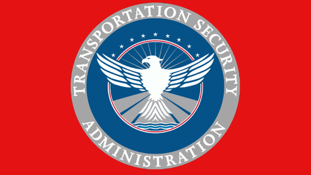 আনডকুমেন্টেড ইমিগ্র্যান্টদের  বিমানযাত্রা পরিহারের পরামর্শ