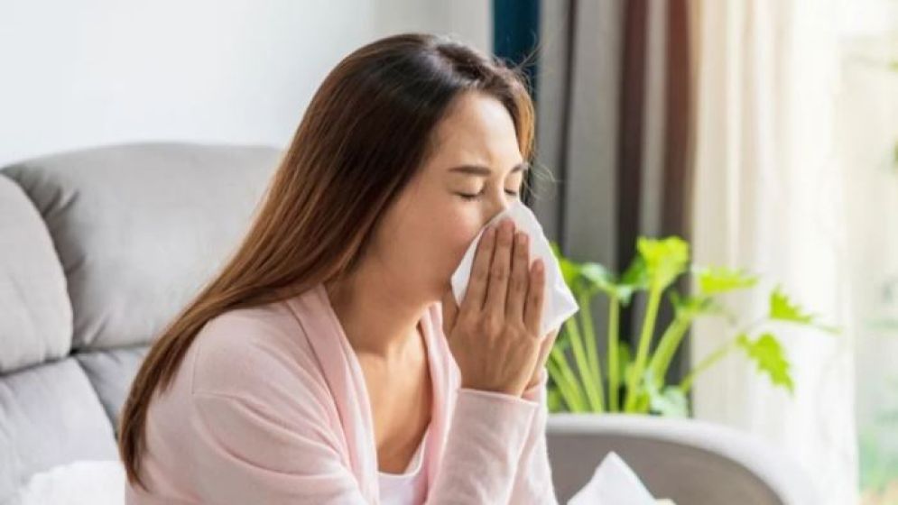 শীতে ডাস্ট অ্যালার্জি থেকে দূরে রাখবে স্মার্ট উপায়