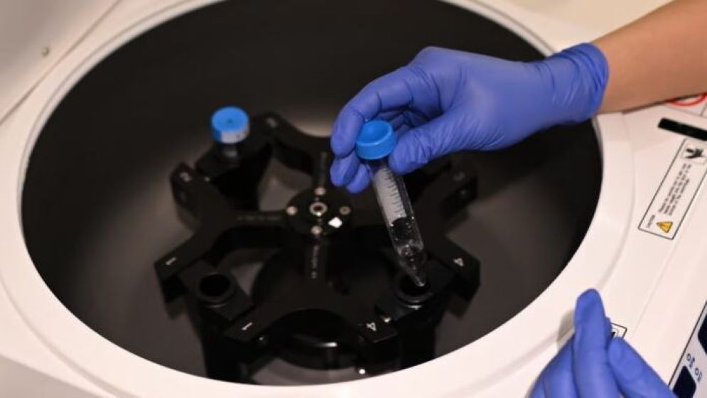 ব্রিটেনে অনাগত সন্তানের মেধা ও উচ্চতা বাছাই করছেন ধনী দম্পতিরা