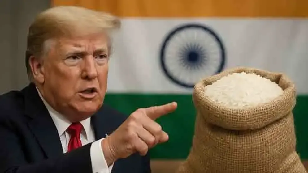 ভারতের ওপর নতুন শুল্ক আরোপের হুমকি ট্রাম্পের, টার্গেট কৃষিপণ্য