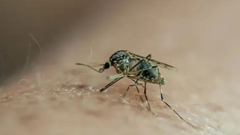 যে কারণে বাংলাদেশসহ চার দেশে মার্কিন ভ্রমণ সতর্কতা