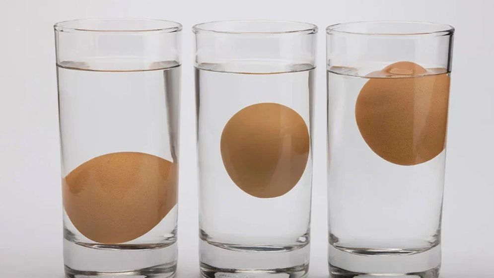 ডিম খাওয়ার আগে নিরাপদ কিনা বুঝবেন যেভাবে