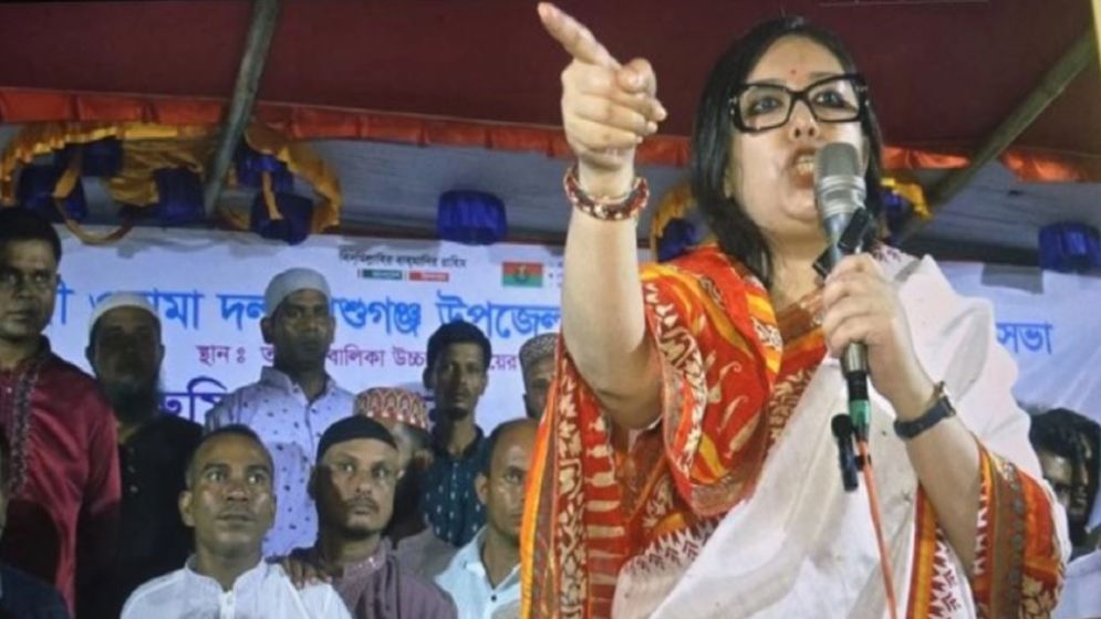 মনোনয়ন ফরম কেনার আগেই যা করবেন জানালেন রুমিন ফারহানা