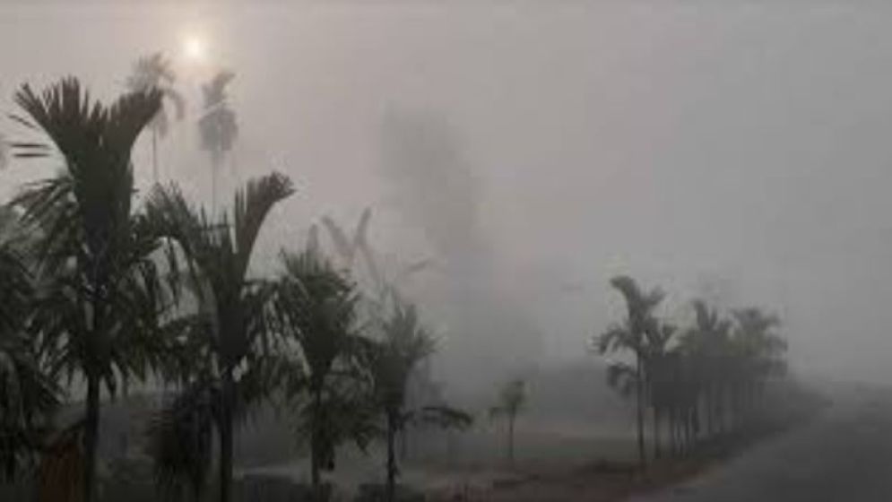 কয়দিন থাকবে এমন শীত? জানাল আবহাওয়া অধিদপ্তর