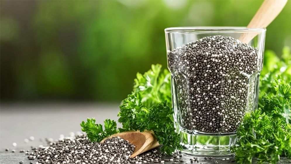 শুকনো নাকি ভেজা—কীভাবে খাবেন চিয়া সিড?