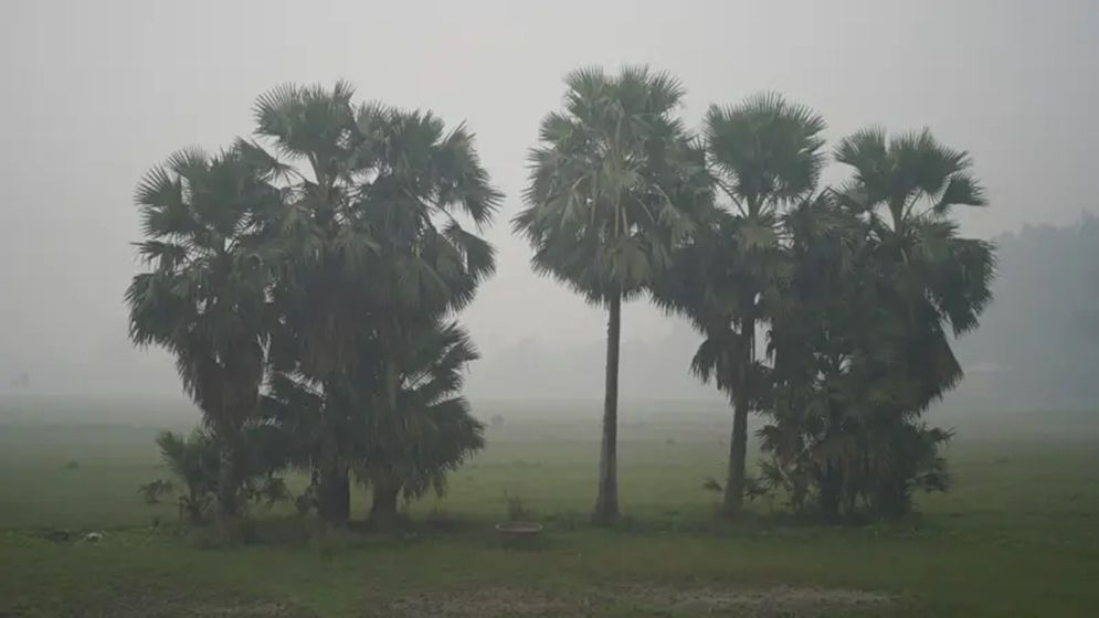 মঙ্গলবার থেকে তীব্র শৈত্যপ্রবাহের আভাস, তাপমাত্রা নামতে পারে ৪ ডিগ্রিতে