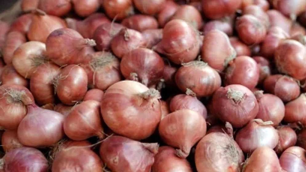 ভারতীয় পেঁয়াজ আমদানি বন্ধ: ওপারে হাহাকার