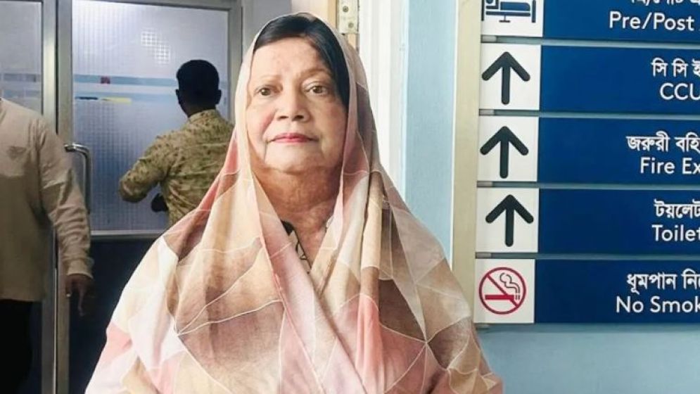 নির্বাচন থেকে সরে দাঁড়ালেন হাসনা মওদুদ