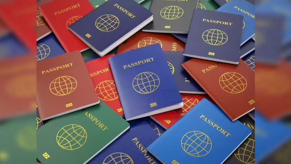 দ্বিতীয় পাসপোর্টের জন্য বিশ্বজুড়ে হিড়িক, সুযোগ থাকতেই লুফে নিন