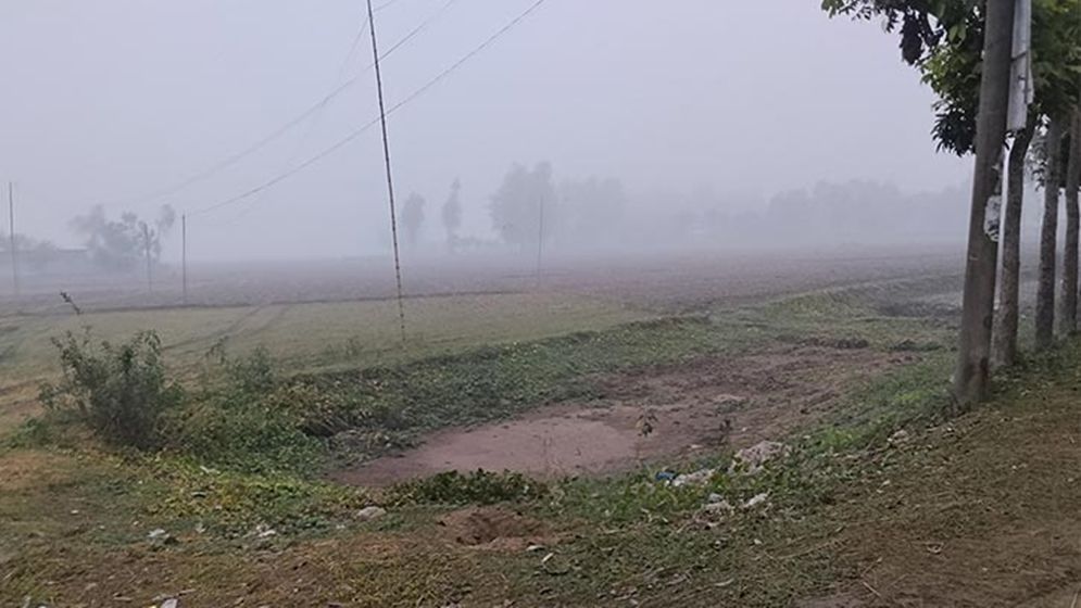 আগামী ৫ দিন শীত কেমন থাকবে, জানাল আবহাওয়া অফিস