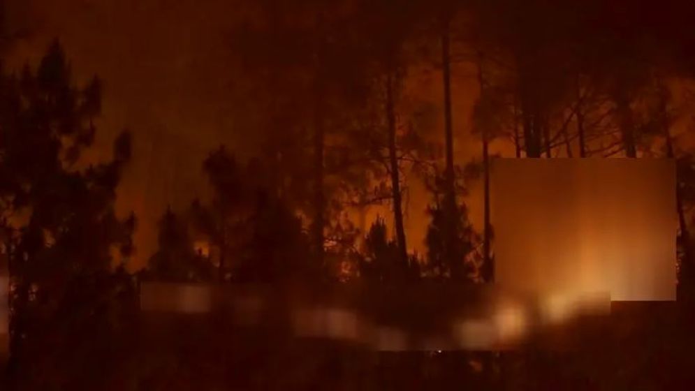 দাবানলে জ্বলছে ভারত, সতর্কতা জারি