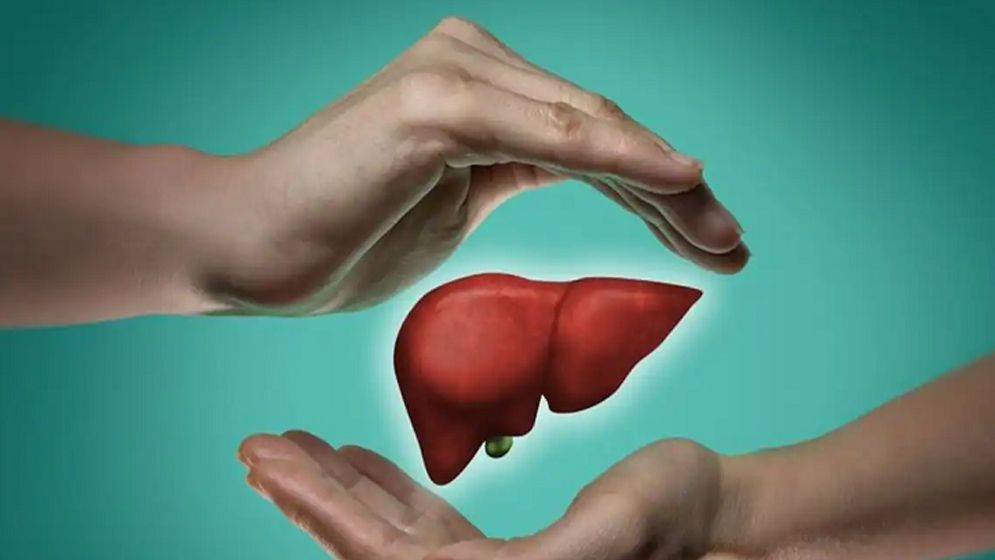 লিভার সুস্থ রাখতে এড়িয়ে চলবেন যেসব খাবার