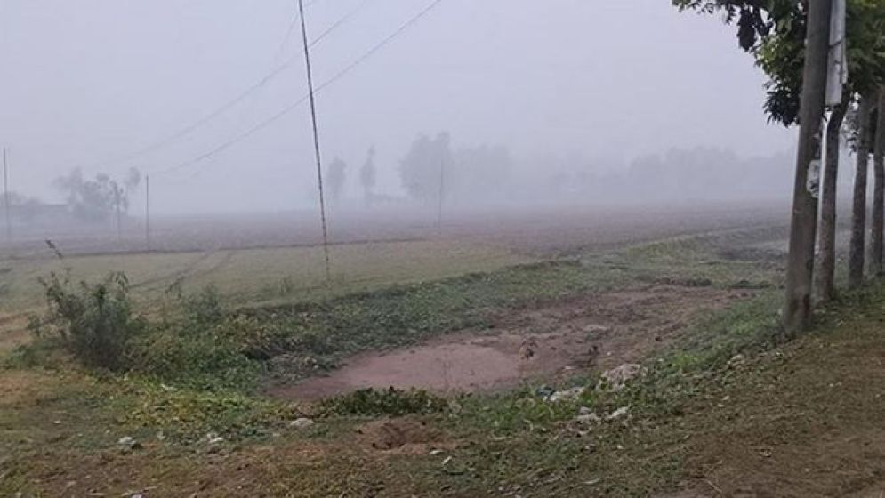 আগামী ৫ দিন শীত কেমন থাকবে, জানাল আবহাওয়া অফিস