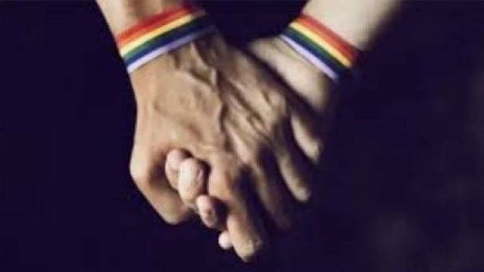 হাবিপ্রবি সংলগ্ন মেসে অপ্রীতিকর অবস্থায় দুই সমকামী শিক্ষার্থী আটক