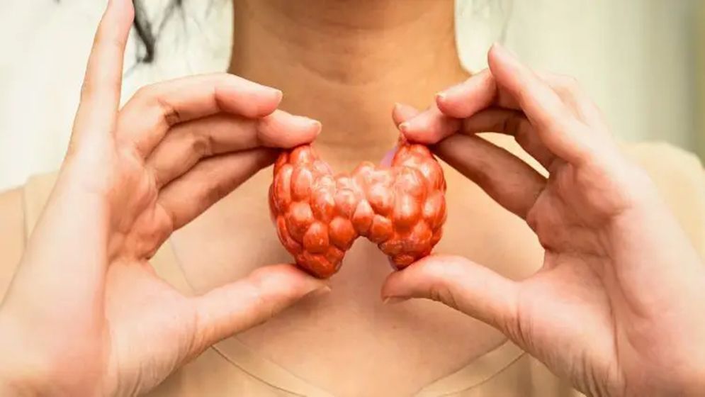 থাইরয়েড নিয়ন্ত্রণে রাখতে কী করবেন, যা বলছেন বিশেষজ্ঞরা