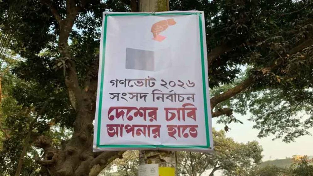 গণভোটে ‘হ্যাঁ’ জিতলে সংবিধানে যা যা বদলে যাবে,নতুন যুক্ত হবে যেসব