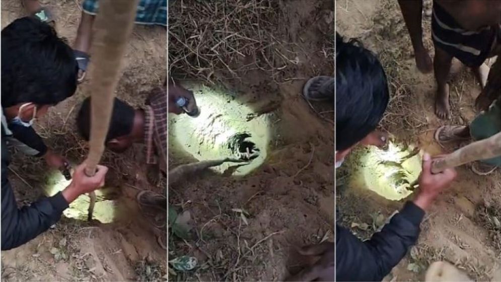 এবার নলকূপের গর্তে ৫ বছরের শিশু, চলছে উদ্ধার অভিযান