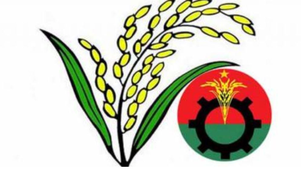 ১৫ আসনে আংশিক ফলাফলে এগিয়ে ধানের শীষ