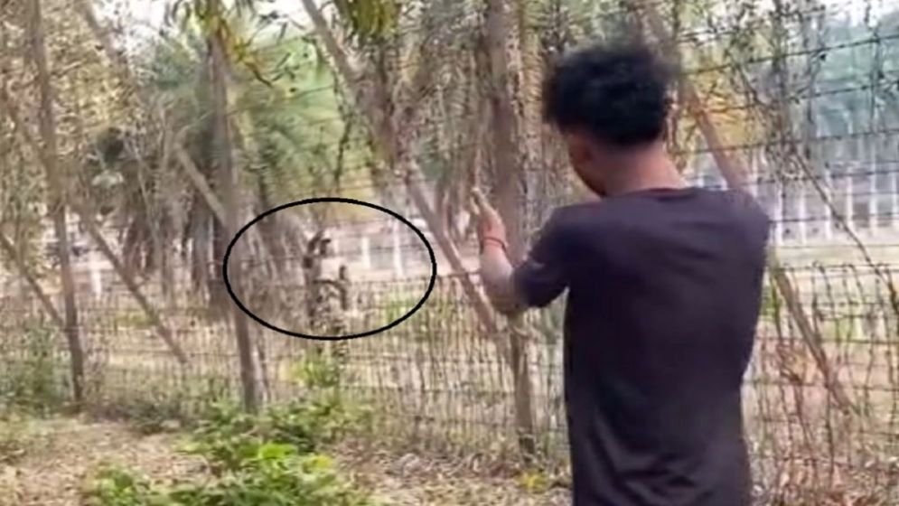 সীমান্তে বিএসএফের সঙ্গে বাকবিতণ্ডায় জড়ালেন বাংলাদেশি যুবক