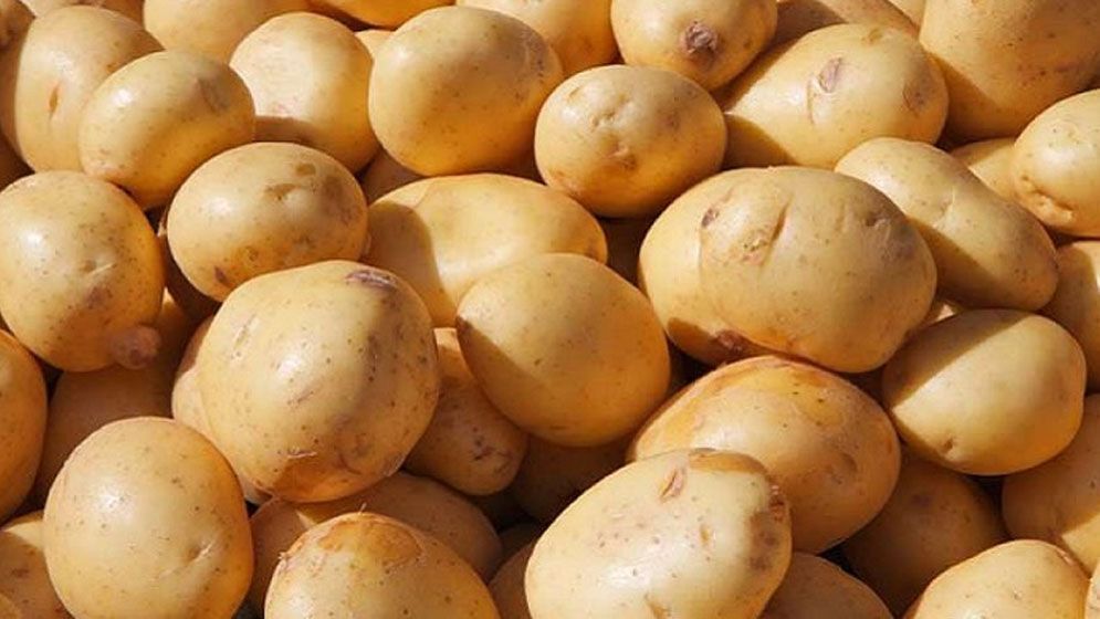 বাংলাদেশি আলু রপ্তানির জন্য ভিয়েতনামের বাজার উন্মুক্ত