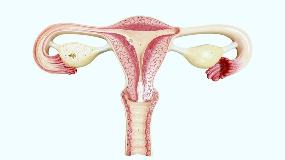 জরায়ুতে ২১ কেজির টিউমার অস্ত্রোপচার করে প্রাণ বাঁচল মহিলার